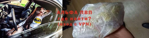 твердый Заводоуковск