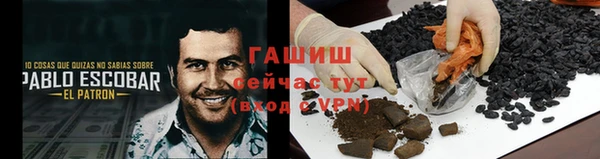 твердый Заводоуковск