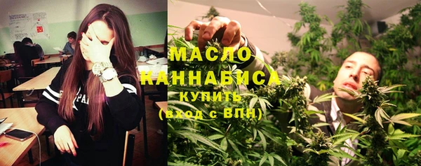 твердый Заводоуковск