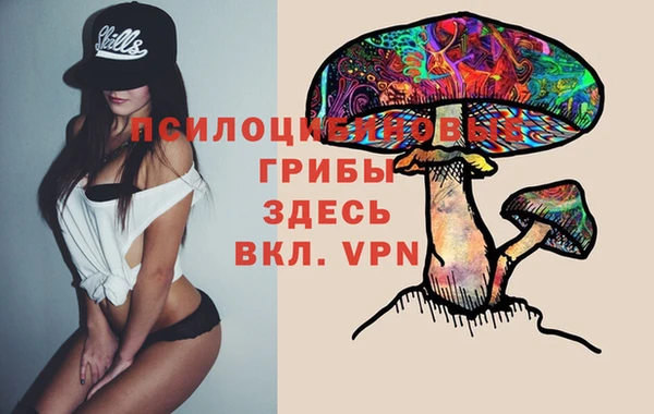 твердый Заводоуковск