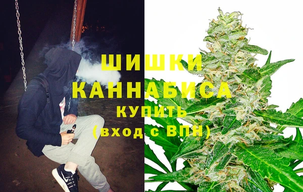 твердый Заводоуковск