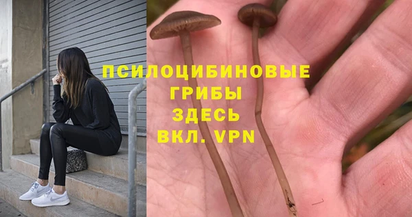 твердый Заволжье